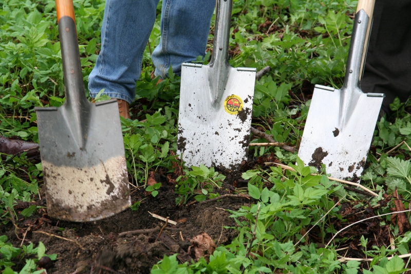 pepiniere-AUPS-min_work-lawn-flower-tool-green-backyard-1103633-pxhere.com